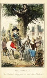 Re Carlo II nascosto su una quercia nel Bosco di Boscobel, dopo la Battaglia di Worcester