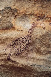 Giraffa, pittura rupestre, Periodo Pastorale (4000-2500 a.C.), Tassili n