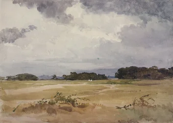 Campo con gruppi di alberi, XIX secolo