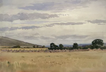 Paesaggio con campo di grano