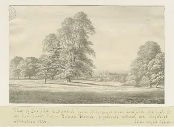 Cattedrale di Lichfield - Vista da Aldershaw (distanza)