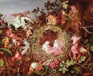 Fate in un nido di uccelli