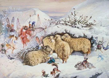 Fate nella Neve
