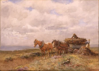 Trasporto di torba
