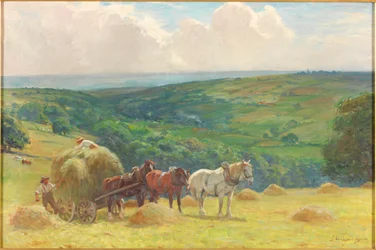 Fienagione, 1900