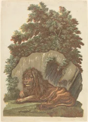 Il leone