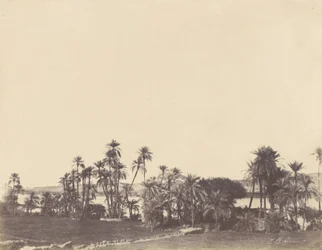 Bordi del Nilo, Kalabsché