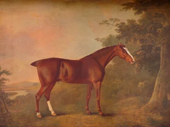 Un castagno scuro, 1788