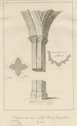 Immagine sconosciuta