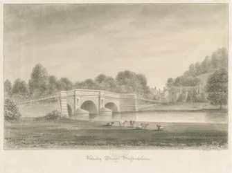 Ponte di Wolseley