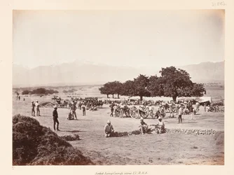 Campo di Safed Sang