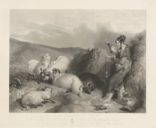 La ragazza che pascola le pecore