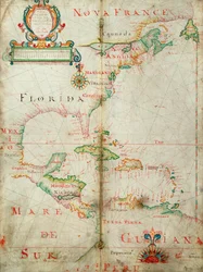 Carta dell