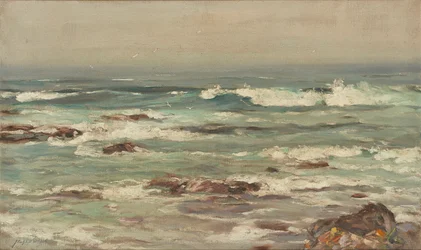 Onde che si infrangono su una costa deserta