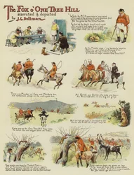 La volpe di One Tree Hill