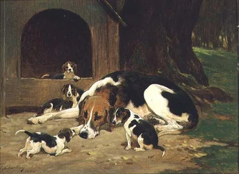Una cagna di foxhound con la sua cucciolata