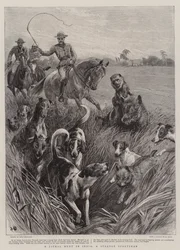 Una caccia allo sciacallo in India, uno strano sportivo