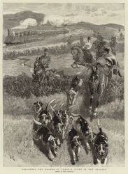 Seguendo i cani da caccia in treno, una scena in Nuova Zelanda