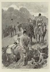 Caccia nel Cardiganshire, scavando fuori la volpe