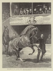 La Regina alla Mostra del Cavallo di Islington, i vincitori dei premi sfilano davanti alla tribuna reale