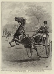 Lo spettacolo equestre di Richmond, un