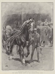 La mostra del cavallo Shire alla Agricultural Hall