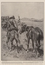 Cosa ha fatto la guerra ai nostri cavalli di cavalleria, un soldato che guida il suo cavallo esausto