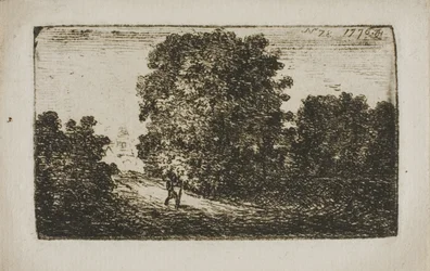 Alberi che Costeggiano una Strada
