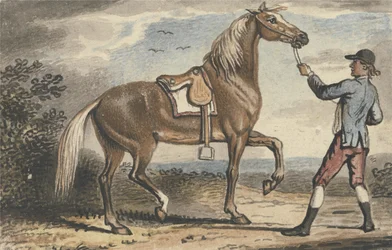 Ragazzo di scuderia che tiene un cavallo in un paesaggio