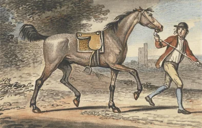 Ragazzo di scuderia che guida un cavallo al trotto in un paesaggio con una torre del castello
