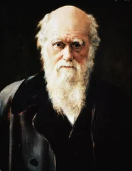 Ritratto del naturalista inglese Charles Darwin (dettaglio)