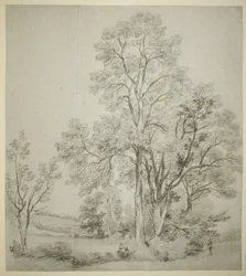 Un gruppo di olmi (recto); Uno studio di East Bergholt con la chiesa (verso)