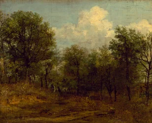 Un bosco (pittura a olio)