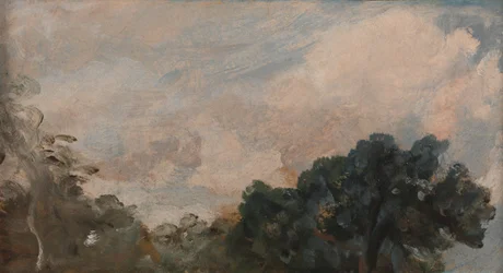 Studio di nuvole con alberi
