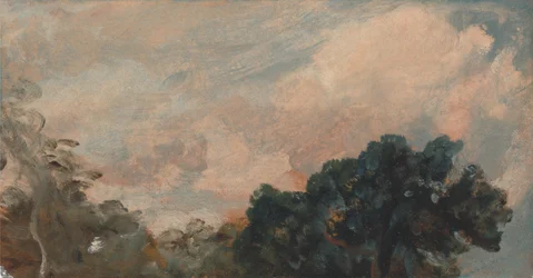 Studio delle nuvole con alberi