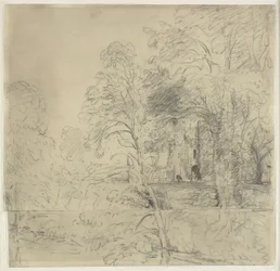 Castello di Cowdray, visto tra gli alberi