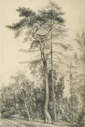Abeti, c.1833