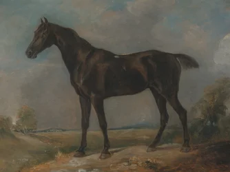 Il cavallo da sella nero di Golding Constable, tra il 1805 e il 1810