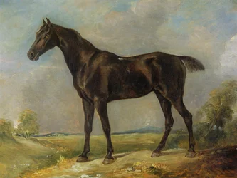Il cavallo nero di Golding Constable, c.1805-10