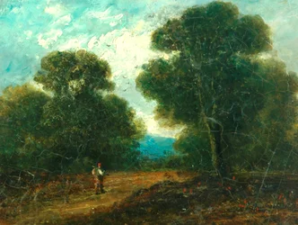 Paesaggio vicino a Norwich