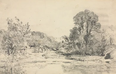 Paesaggio con alberi intorno a uno stagno