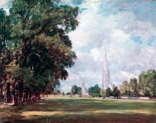 Cattedrale di Salisbury da Lower Marsh Close, 1820