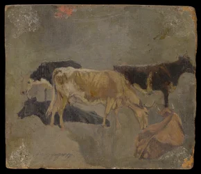 Studio di cinque bovini cornuti (verso)