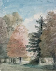 Studio di alberi in un parco