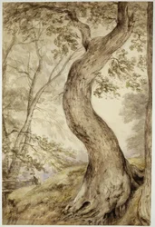 Albero a Helmingham, c.1800