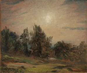 Alberi a Hampstead Heath