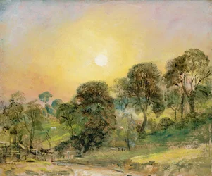 Alberi a Hampstead Heath al tramonto