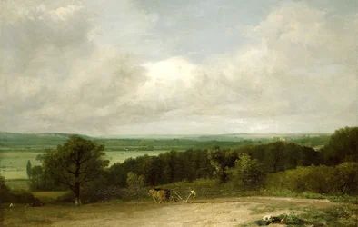 Immagine sconosciuta