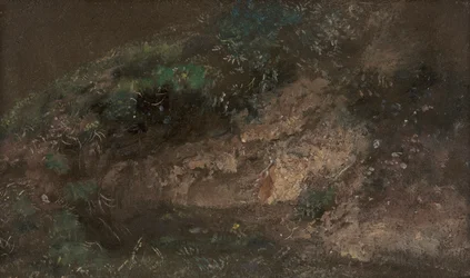 Sottobosco