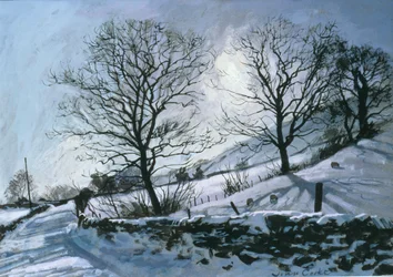 Pomeriggio invernale a Dentdale
